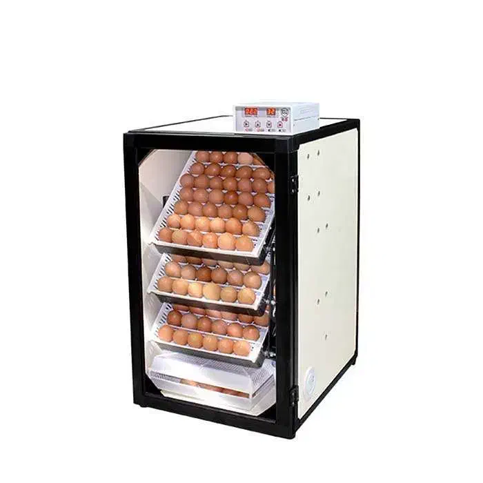 فروش دستگاه جوجه کشی۱۶۸تایی اسکندری اقساط|لوازم جانبی حیوانات|بندر انزلی, پیل علی باغ|دیوار