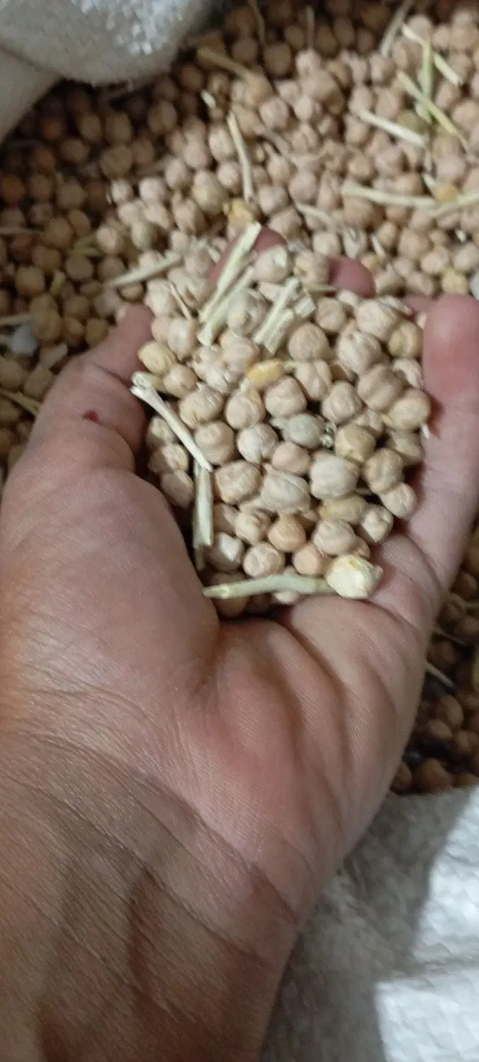 150|خوردنی و آشامیدنی|سارال, |دیوار