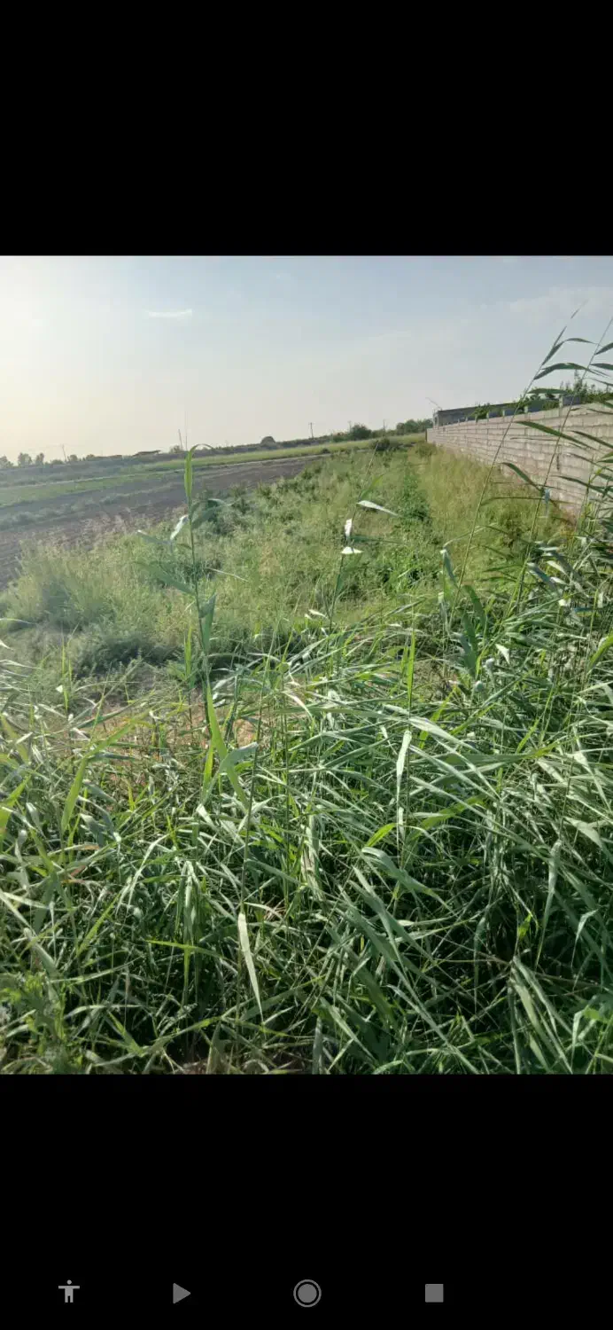 زمین باغی|فروش دفتر صنعتی، کشاورزی، تجاری|شوش, |دیوار