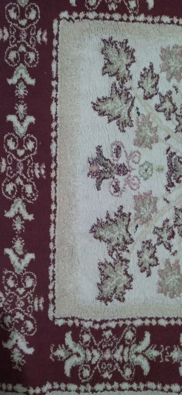 گلیم فرش خوش طرح|فرش|پرند, فاز ۴|دیوار