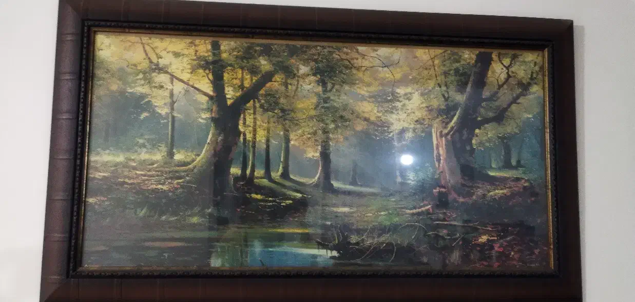 تابلو دیواری|تابلو، نقاشی، عکس|صحنه, |دیوار