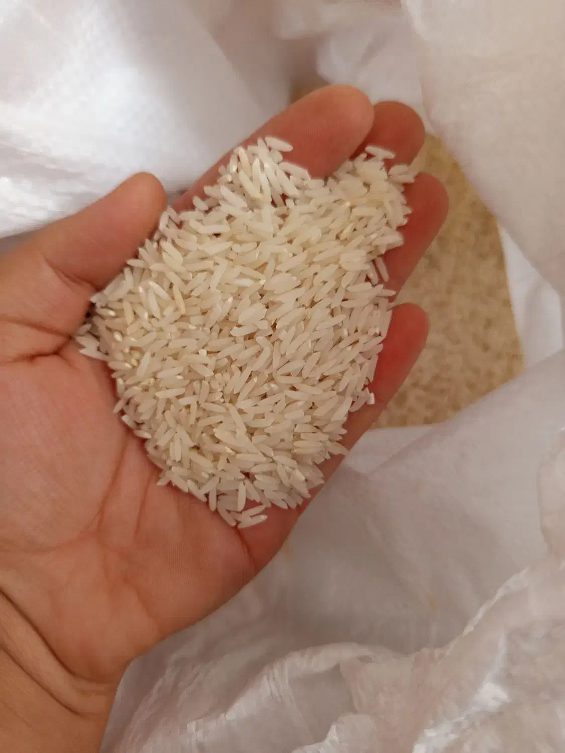 برنج|خوردنی و آشامیدنی|گالیکش, |دیوار