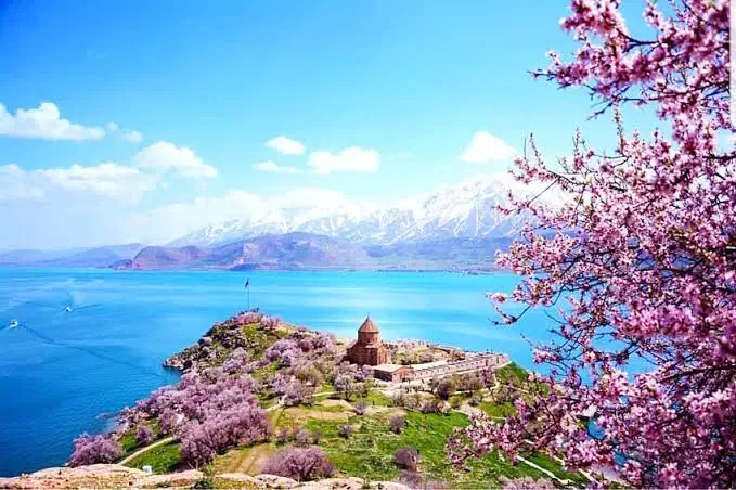 تور وان گروهی با هماگشت|تور و چارتر|قم, عمار یاسر|دیوار