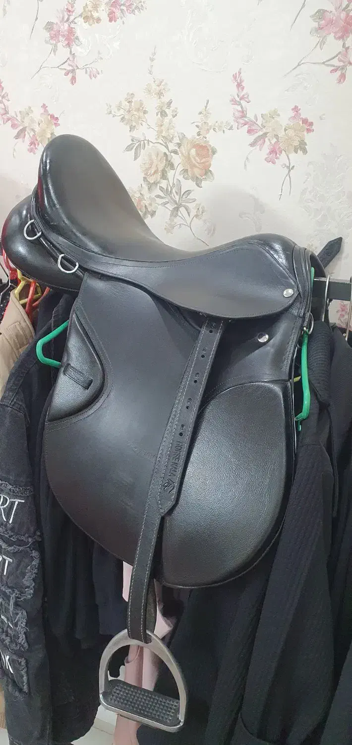 زین اسب خارجی|اسب و تجهیزات اسب‌سواری|ری, دیلمان|دیوار