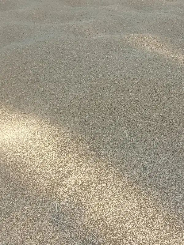 ارزن تمیز محلی|لوازم جانبی حیوانات|ارزوئیه, |دیوار