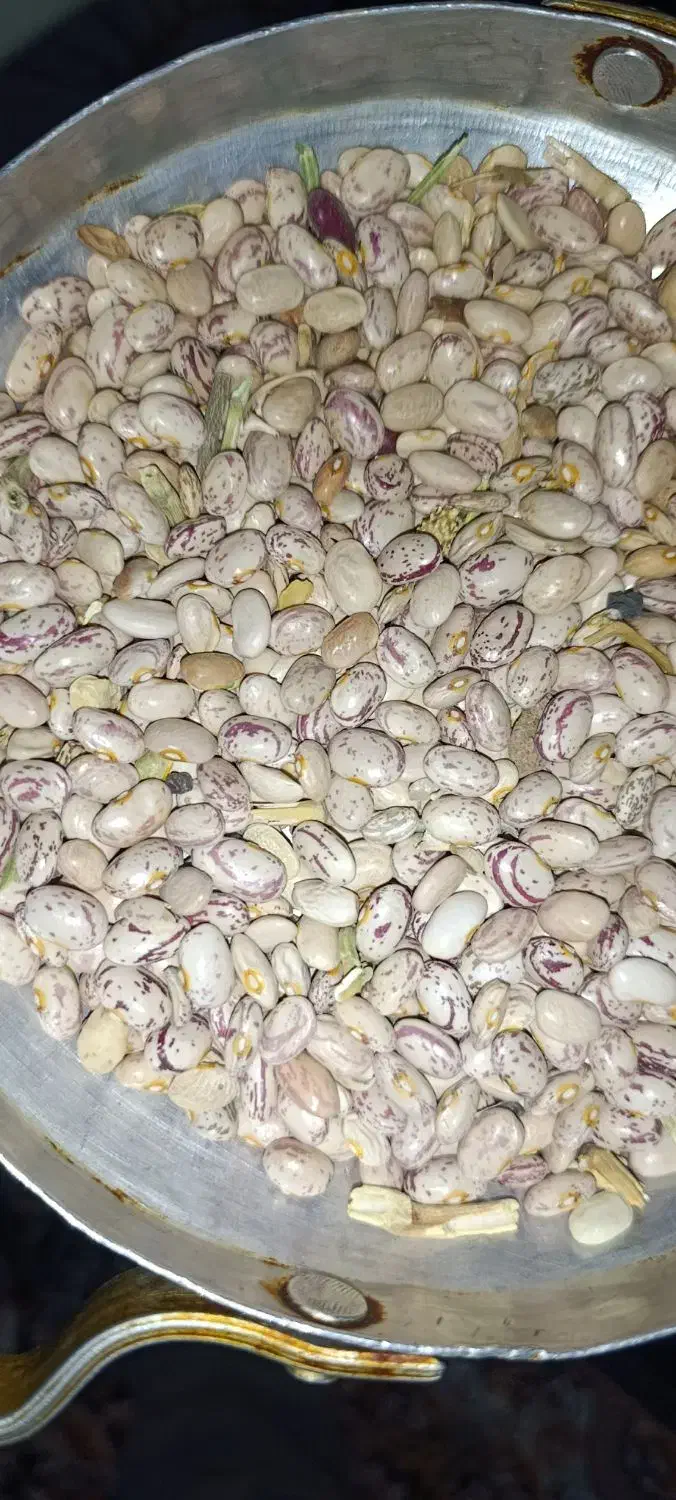 فروش لوبیا چیتی|حراج|خانمیرزا, |دیوار