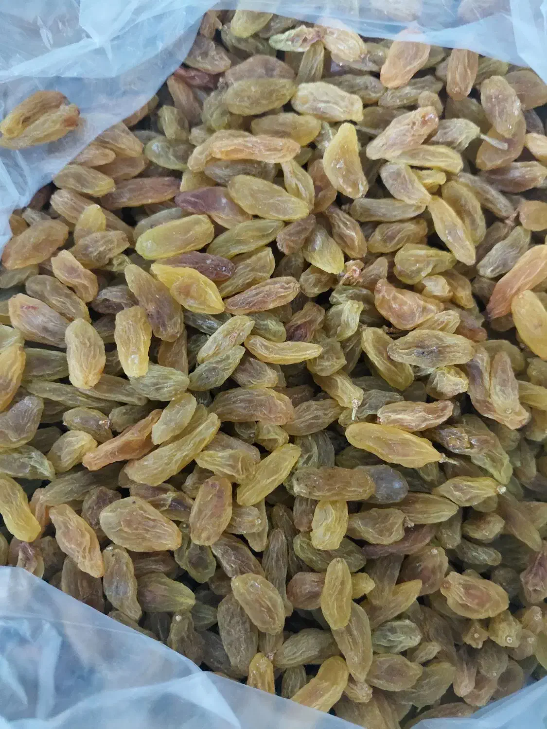پسته.کشمش|خوردنی و آشامیدنی|پاکدشت, پاکدشت (مامازند)|دیوار