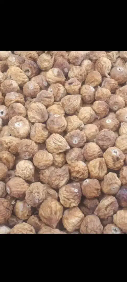 خرید و فروش انجیر ضایعات|عمده‌فروشی|استهبان, |دیوار