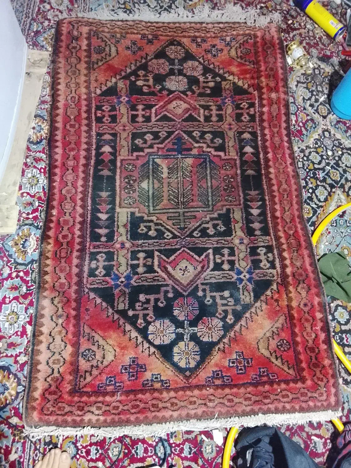 قالی دست بافت بدونه پارکی سالم سالم|فرش|ساوه, |دیوار