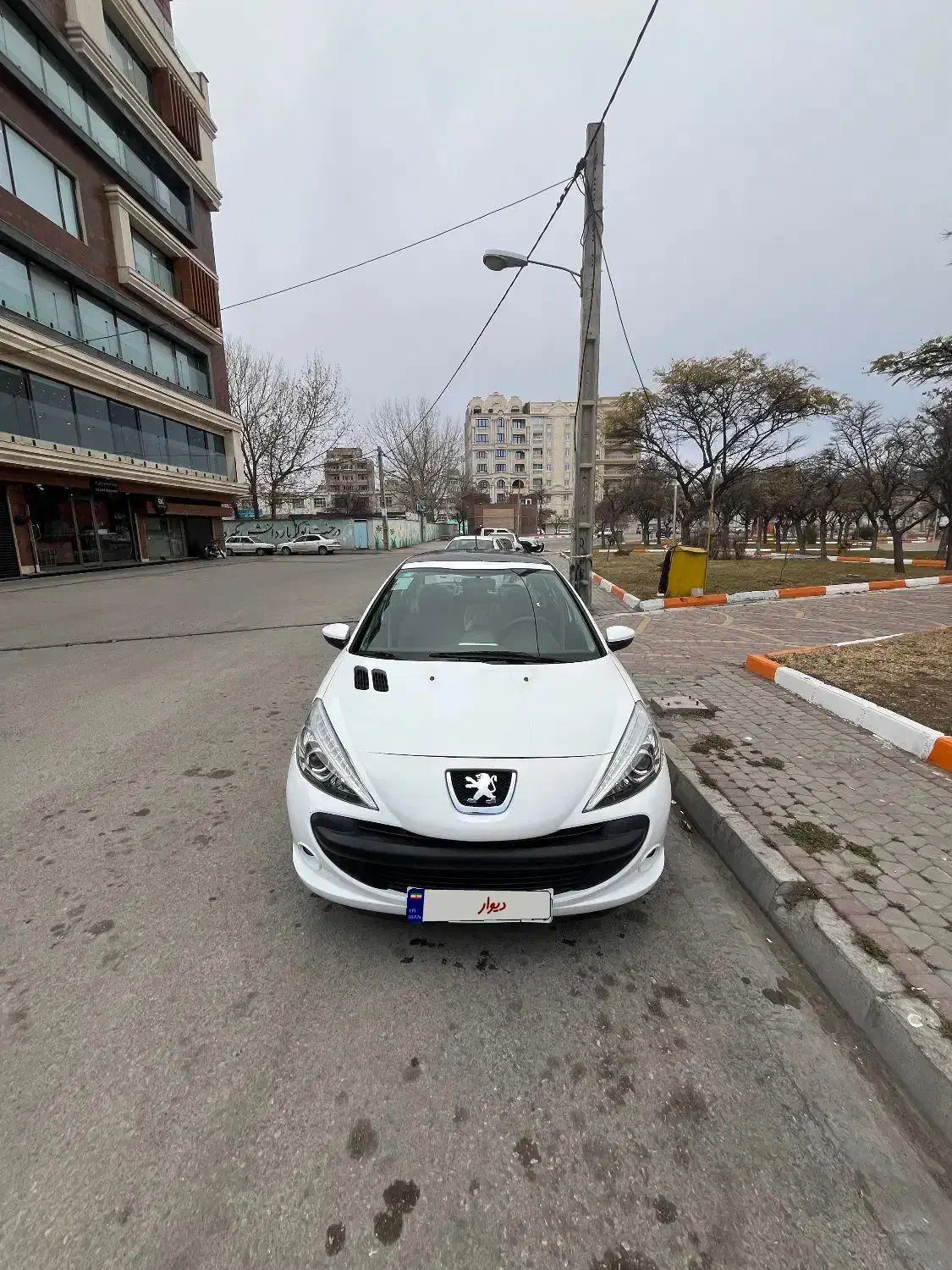 ۲۰۷ پانا ۴۰۱ ارتقا|خودرو سواری و وانت|اردبیل, |دیوار