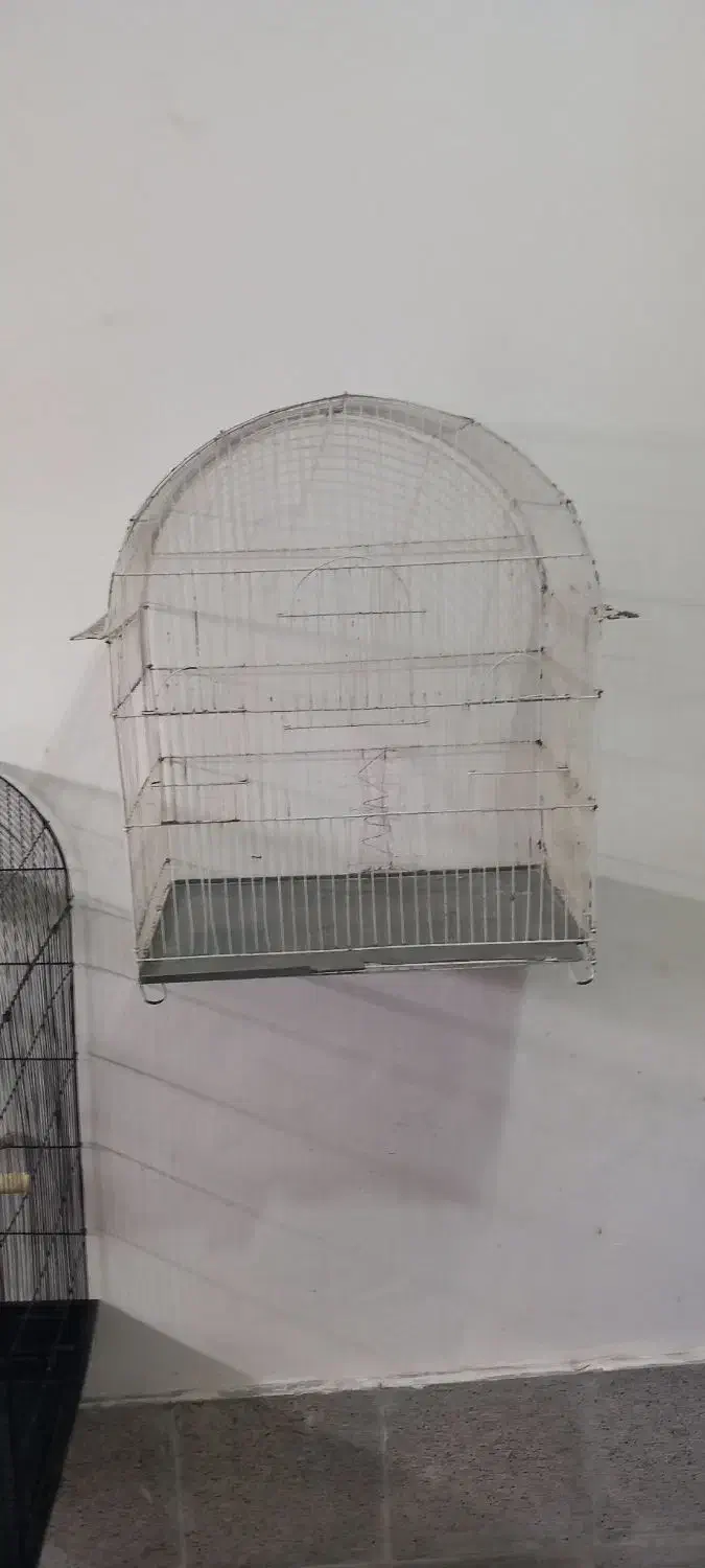 قفس پرنده|لوازم جانبی حیوانات|ارومیه, |دیوار
