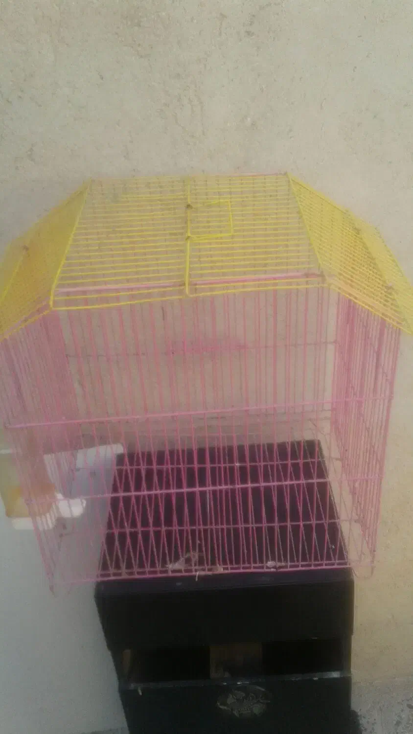 قفس|لوازم جانبی حیوانات|ایلام, |دیوار