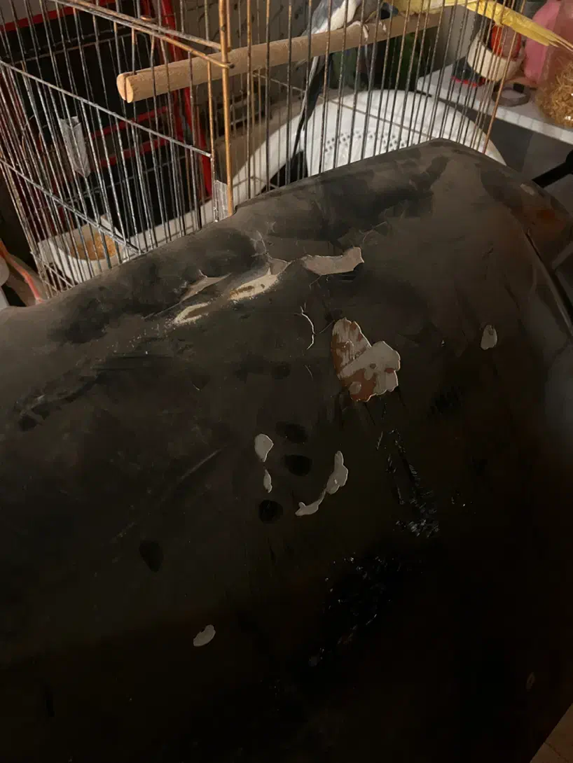 کاپوت206|قطعات یدکی و لوازم جانبی|قم, پردیسان|دیوار