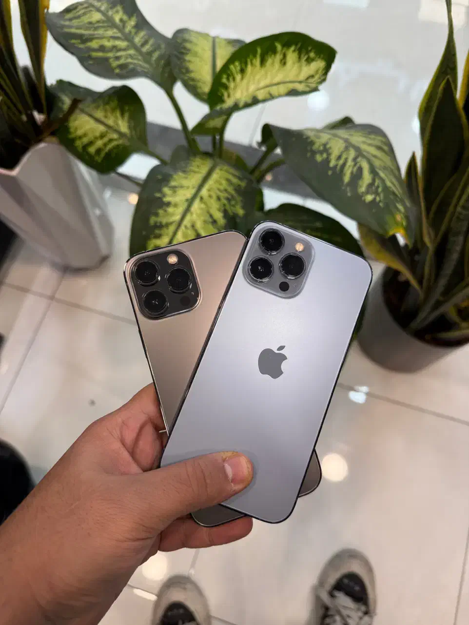 iPhone 13 Pro Max 256 zaa از دم قسط و نقدی|موبایل|کرج, مهرویلا جنوبی|دیوار