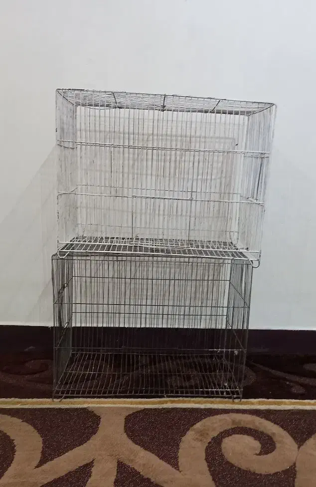 دوتا قفس بزرگ|لوازم جانبی حیوانات|اهواز, بهارستان|دیوار