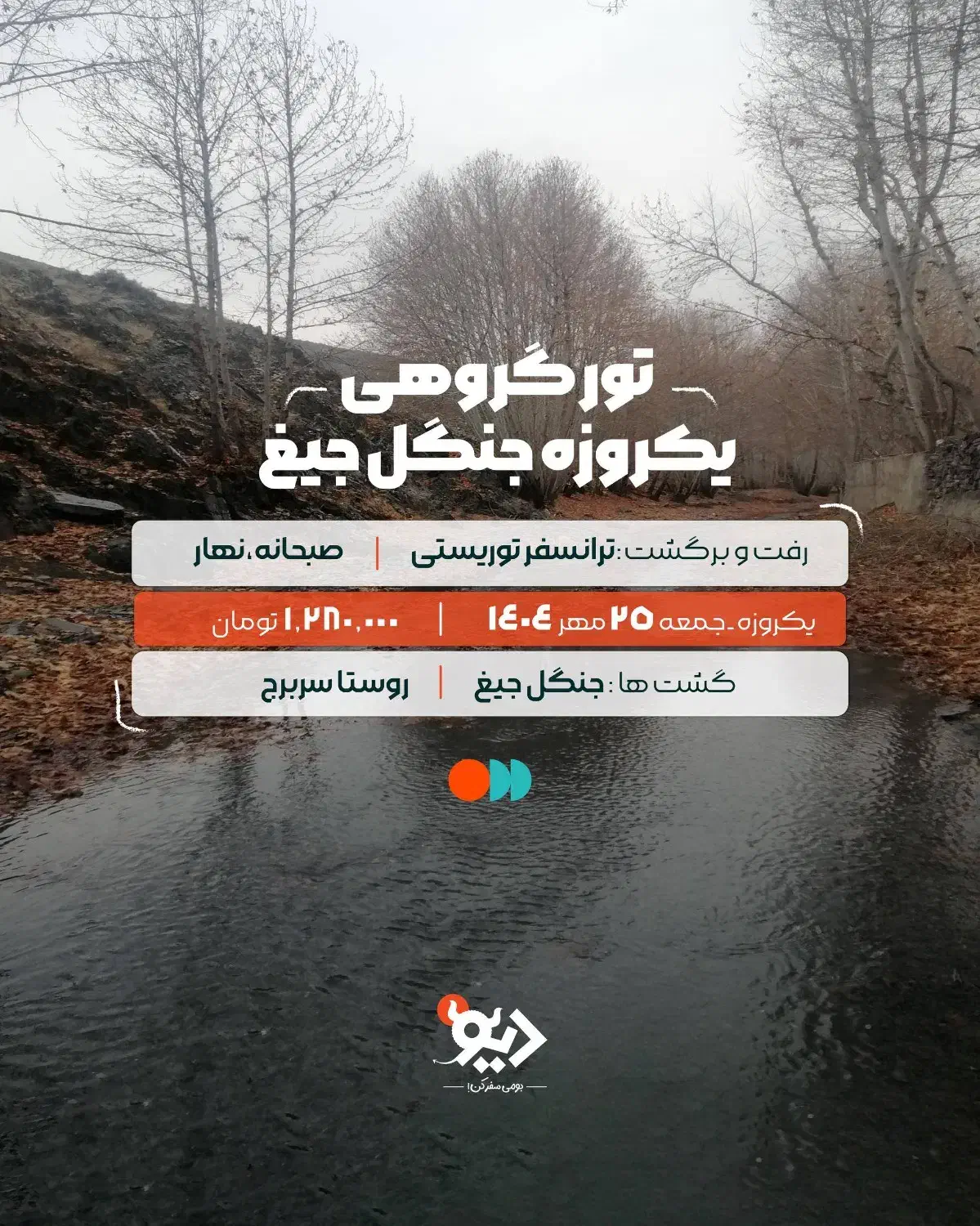 تور گروهی یکروزه جنگل جیغ|تور و چارتر|مشهد, سجاد شهر|دیوار
