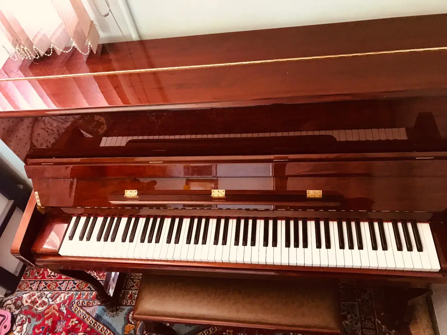 پیانو آکوستیک|پیانو، کیبورد، آکاردئون|شیراز, شاه قلی بیگی|دیوار