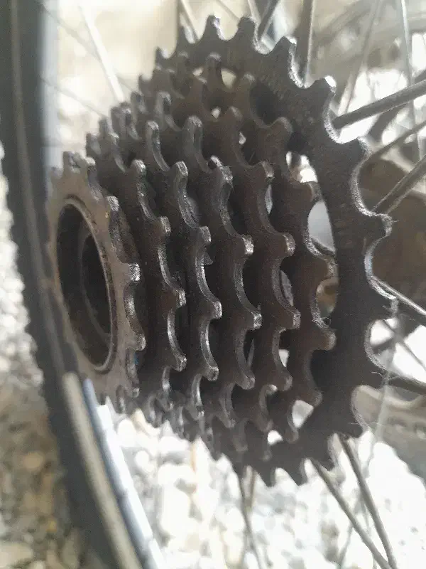 لاستیک و رینگ حرفه ای|دوچرخه، اسکیت، اسکوتر|زابل, |دیوار