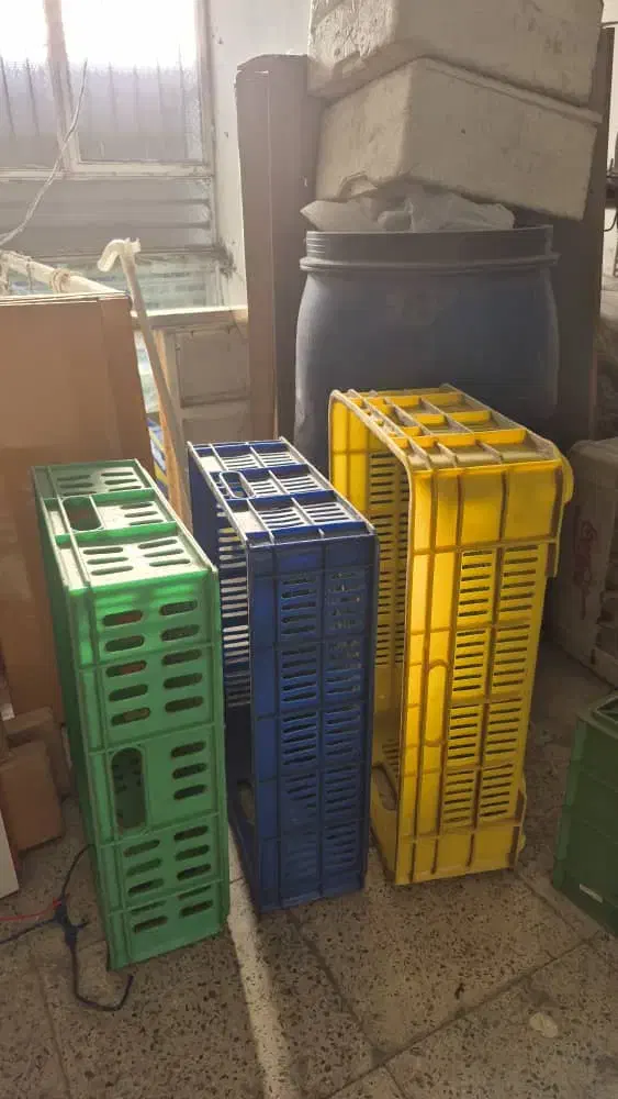 سبد حمل لبنیات و بشکه پلاستیکی زیتون|عمده‌فروشی|رشت, رودبارتان|دیوار