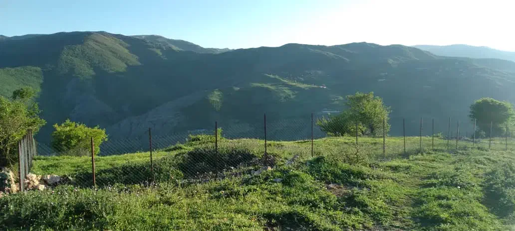 زمین زراعی بره سر (طالکوه)با اجازه ساخت ویلا|فروش دفتر صنعتی، کشاورزی، تجاری|برهسر, |دیوار