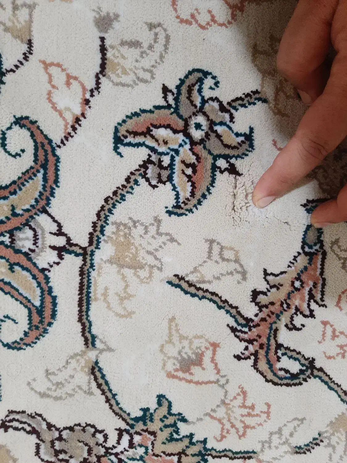 فرش 12متری جهت معاوضه|فرش|گنبد کاووس, |دیوار