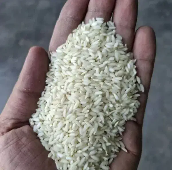 برنج عنبربو|خوردنی و آشامیدنی|شوشتر, |دیوار