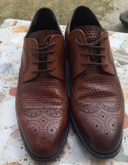 کفش مجلسی مارک فرس در حد نو|کیف، کفش، کمربند|رشت, حافظ آباد|دیوار