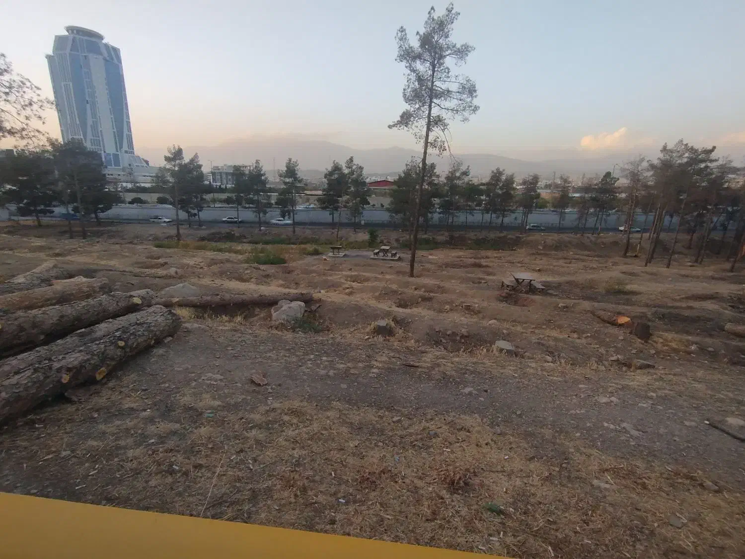 خرید انواع چوب|خدمات باغبانی و درختکاری|اقبالیه, |دیوار