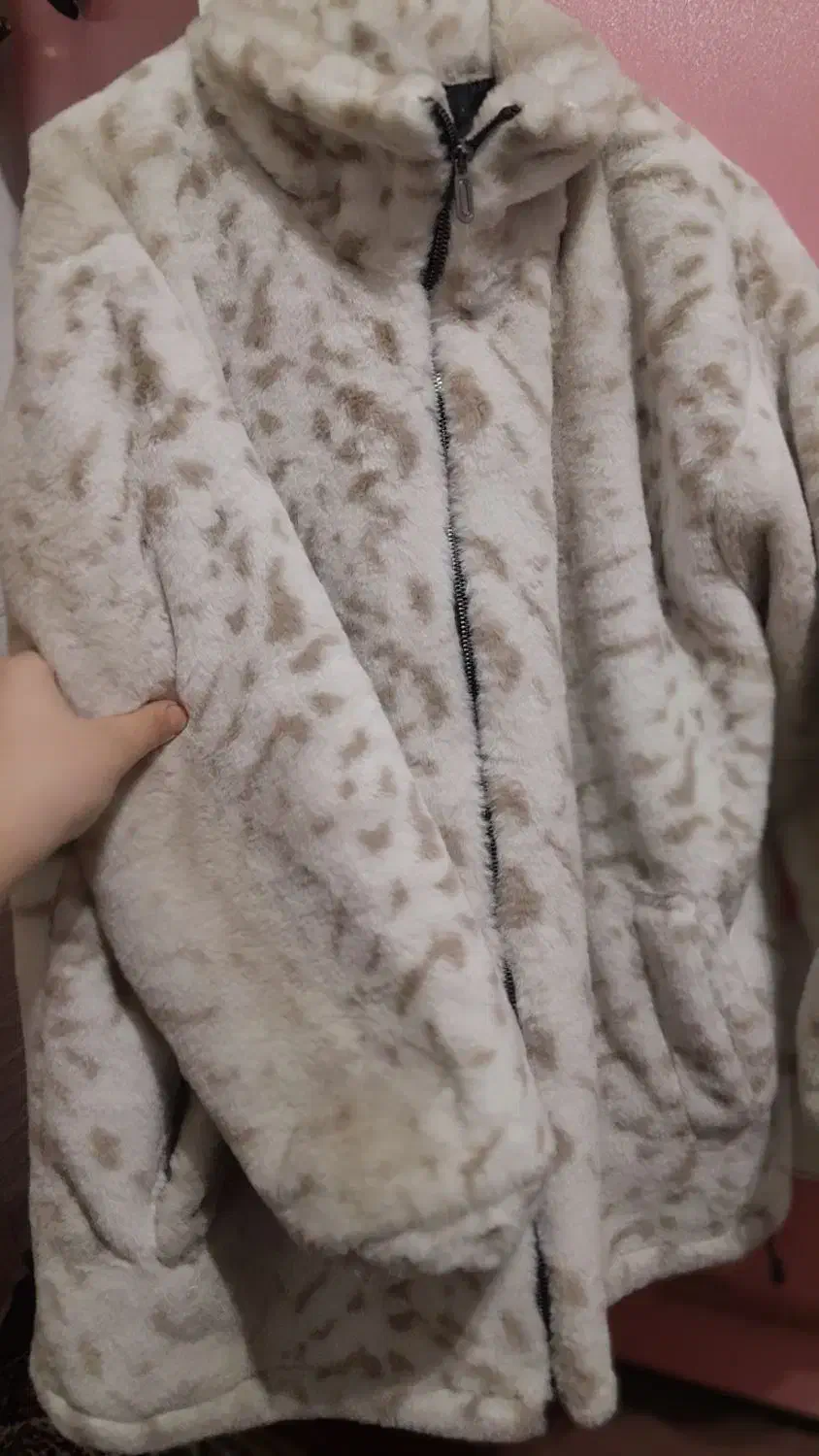 پالتو تدی|لباس|سقز, |دیوار