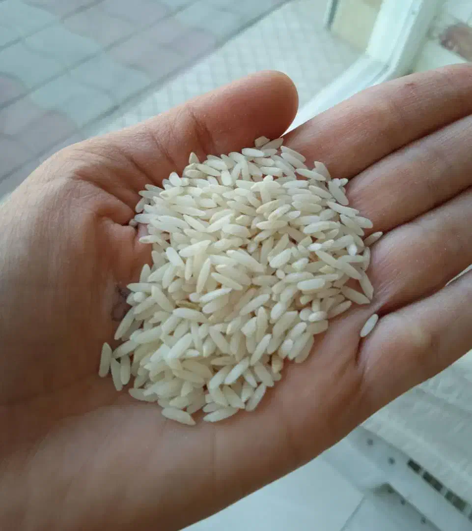 واردات عمده برنج از مرز باشماق|خوردنی و آشامیدنی|تهران, اتحاد|دیوار