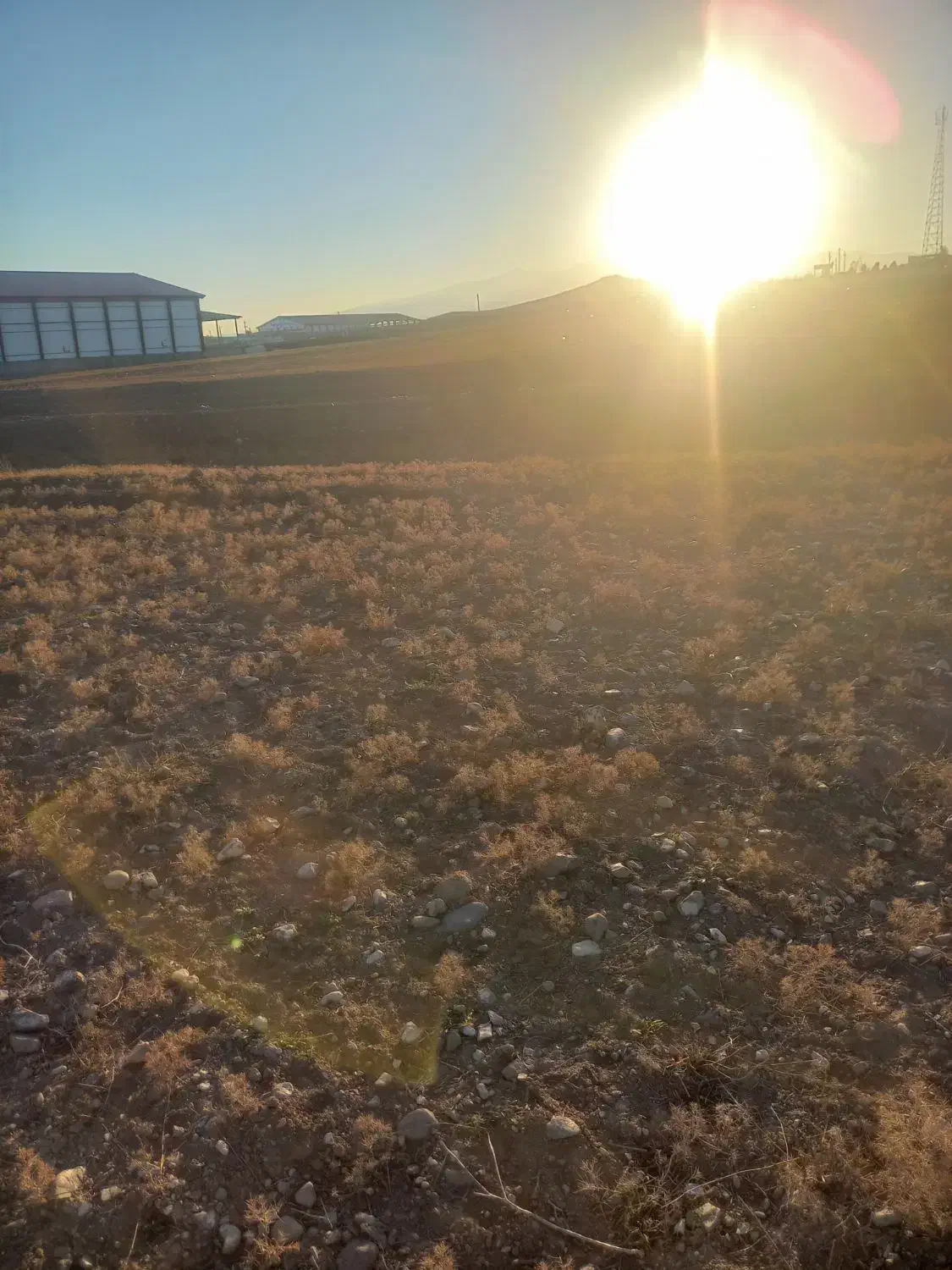 زمین زراعی مناسب دامداری و انباری|فروش دفتر صنعتی، کشاورزی، تجاری|ارشق, |دیوار