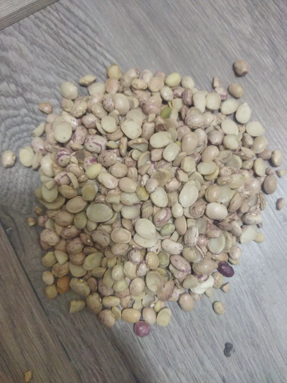 لوبیای دولپه اشی|خوردنی و آشامیدنی|شیراز, گلشن|دیوار