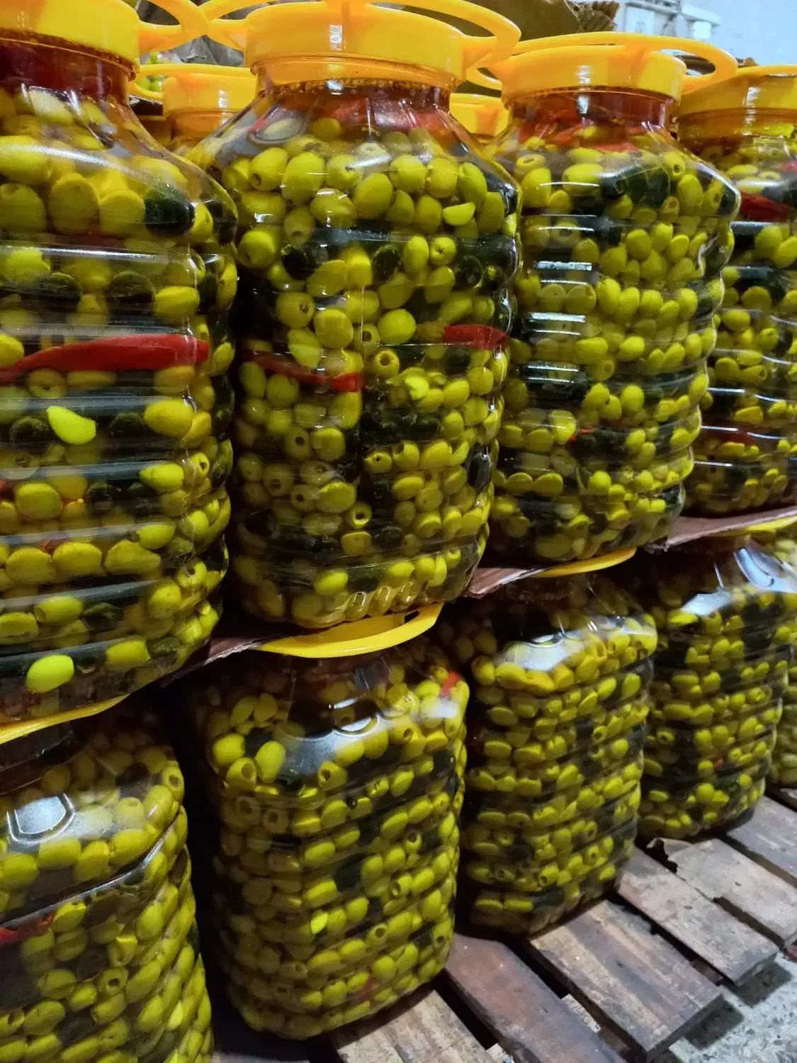 پخش زیتون های طعم دار و گریل شده|عمده‌فروشی|رودبار, |دیوار