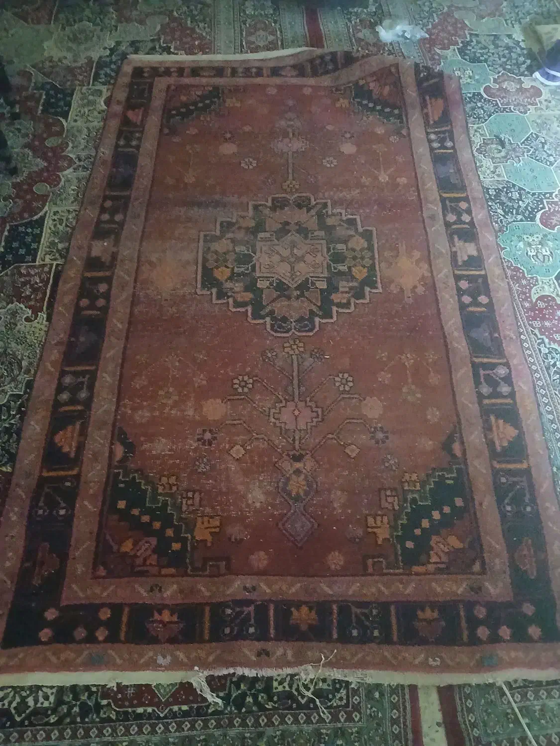 فرش دست باف خریداری باهات کنارمیام|فرش|اهواز, گلدشت|دیوار