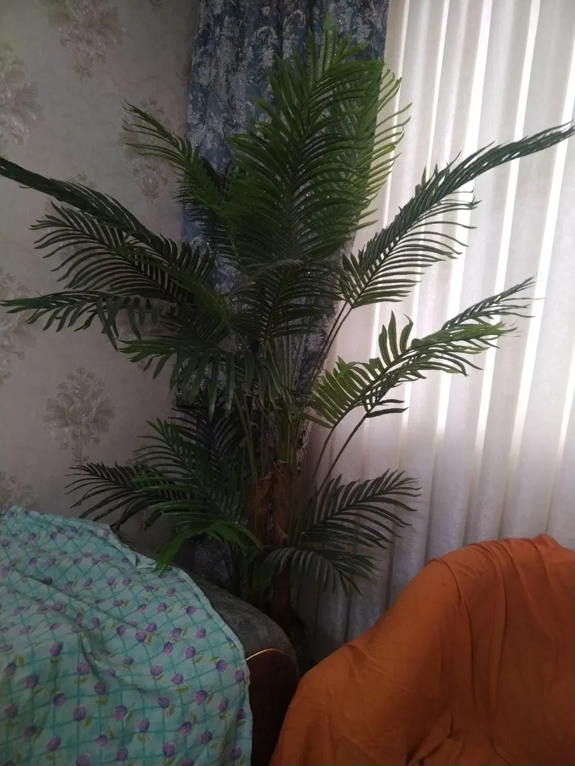 درختچه|گل مصنوعی|کرج, بنیاد|دیوار