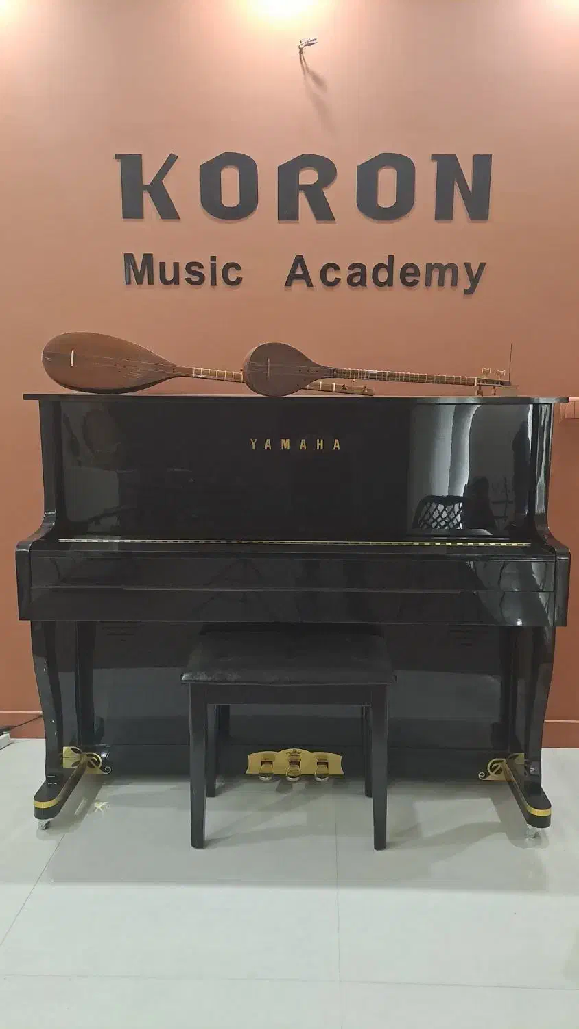 آموزش تخصصی موسیقی ایرانی و جهانی در آموزشگاه|خدمات آموزشی|مشهد, هنرستان|دیوار