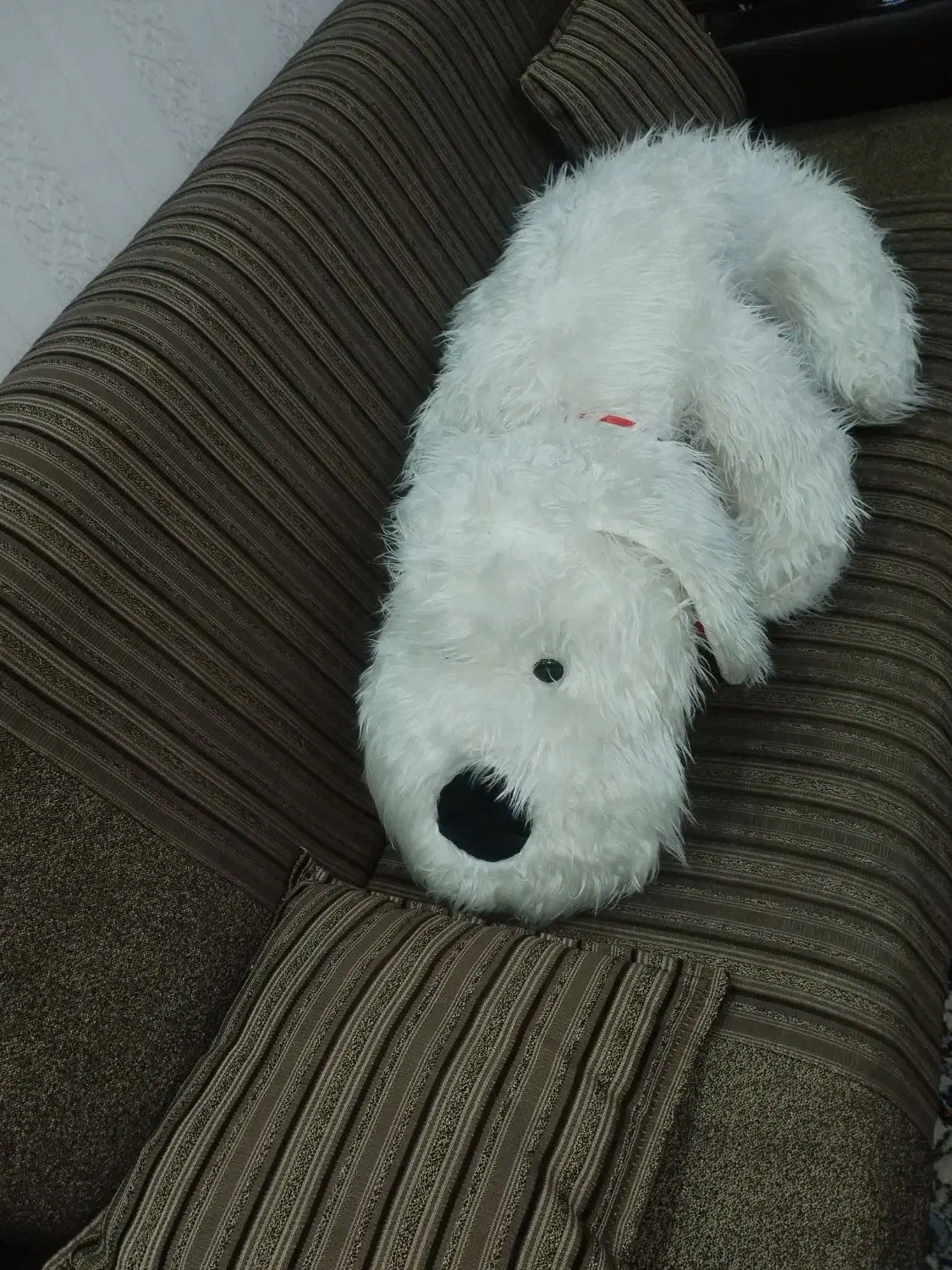 عروسک|اسباب‌بازی بچه|اندیشه, اندیشه فاز ۱|دیوار