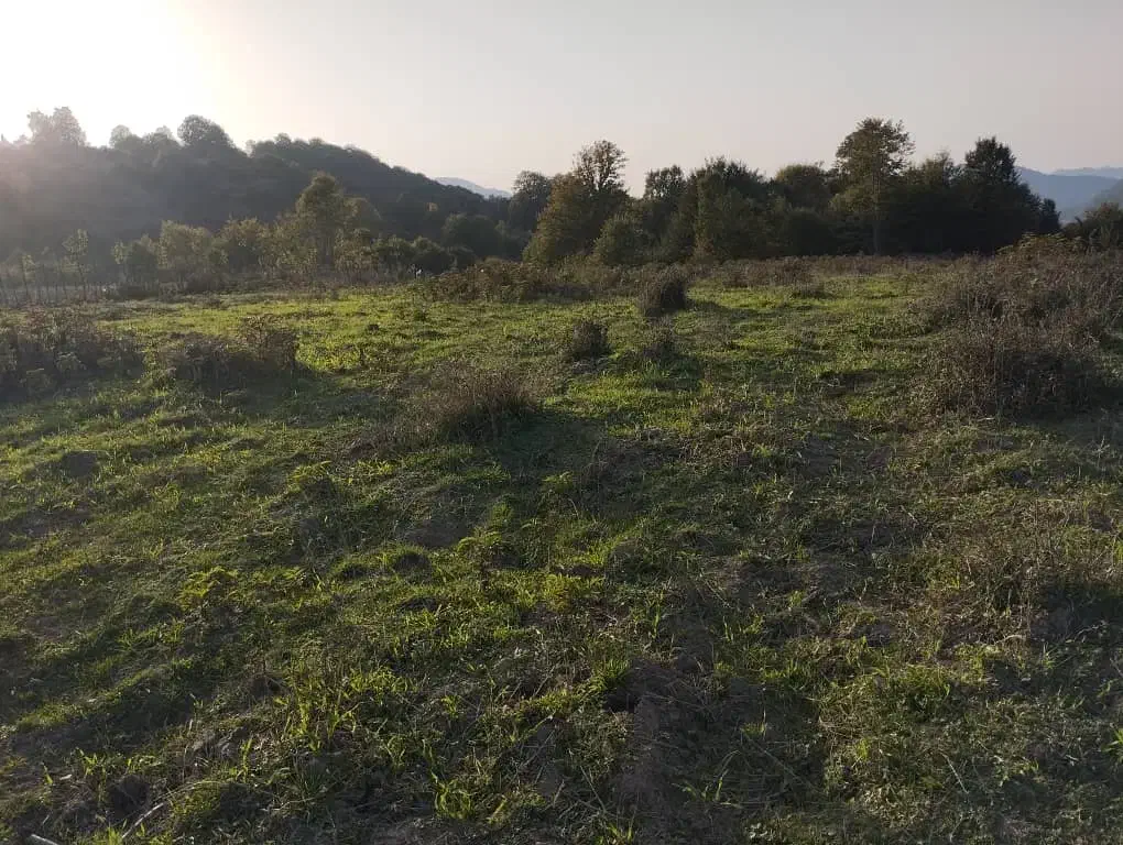 زمین کشاورزی5هکتار|فروش دفتر صنعتی، کشاورزی، تجاری|فریم, |دیوار