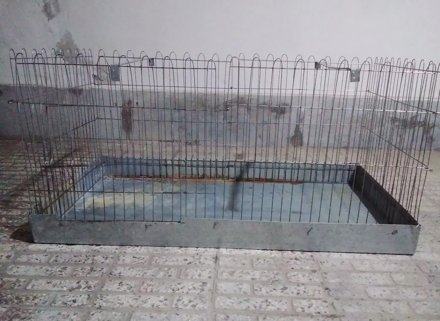 قفس خرگوش|موش و خرگوش|گرگان, |دیوار