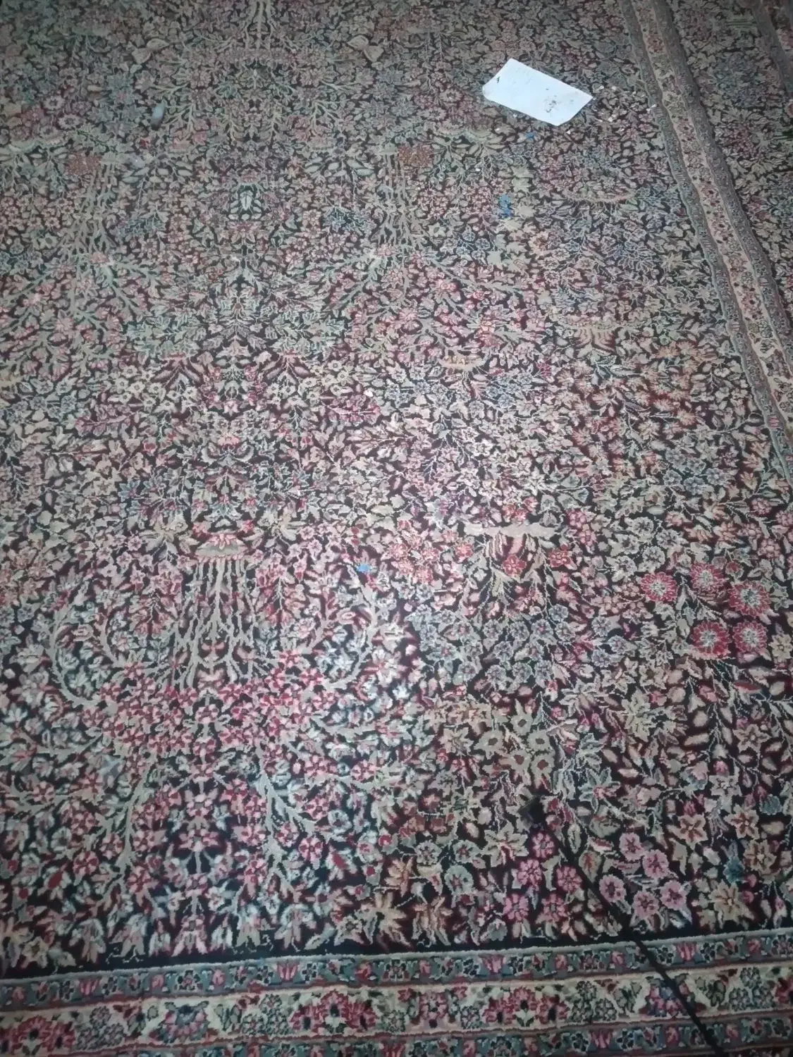قالی 12متری 3*4|فرش|جیرفت, |دیوار