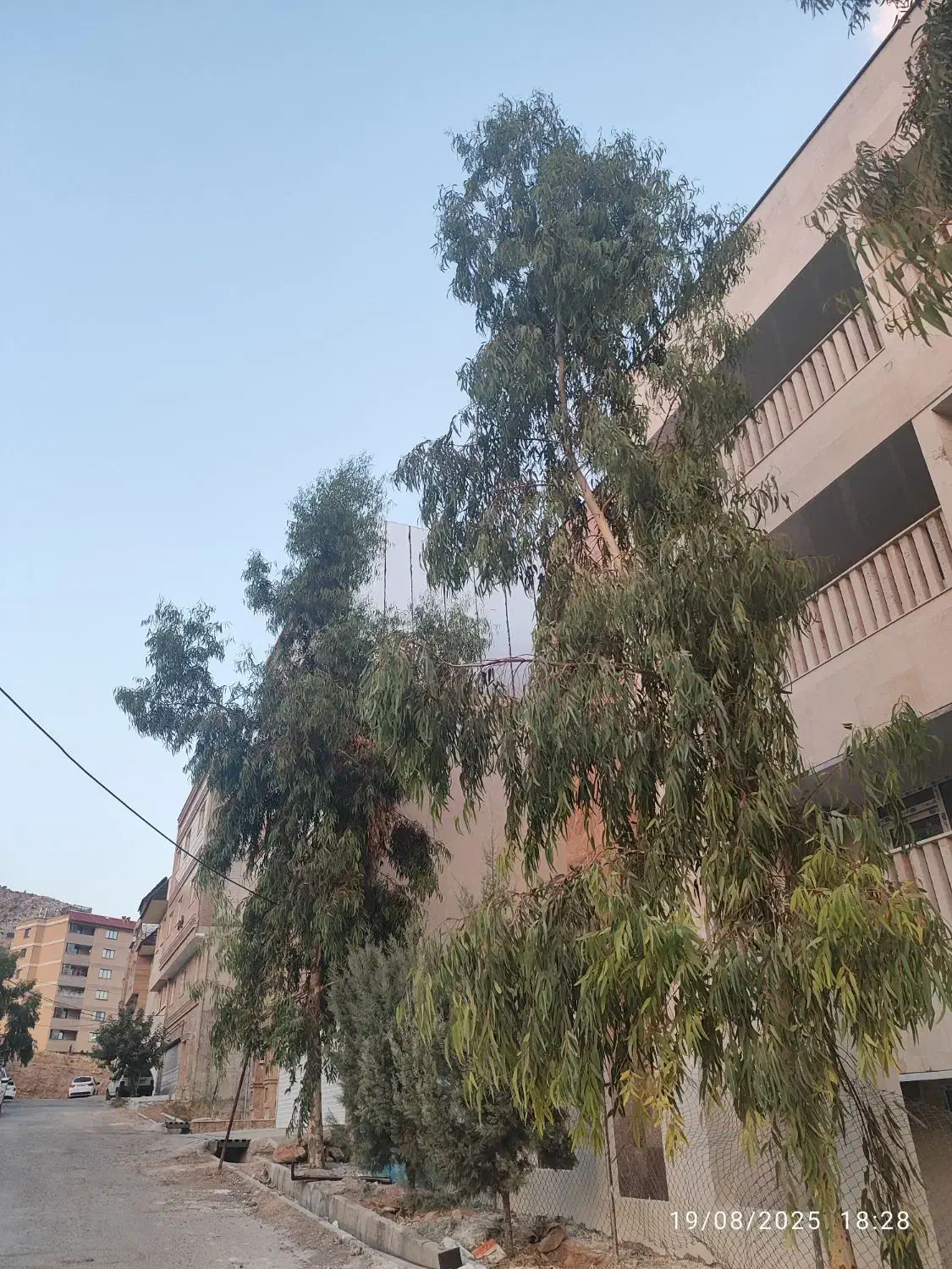 آپارتمان ۲ خوابه شخصی ساز نوساز ویلایی صدرا مولانا|فروش آپارتمان|شیراز, شهرک گلستان|دیوار