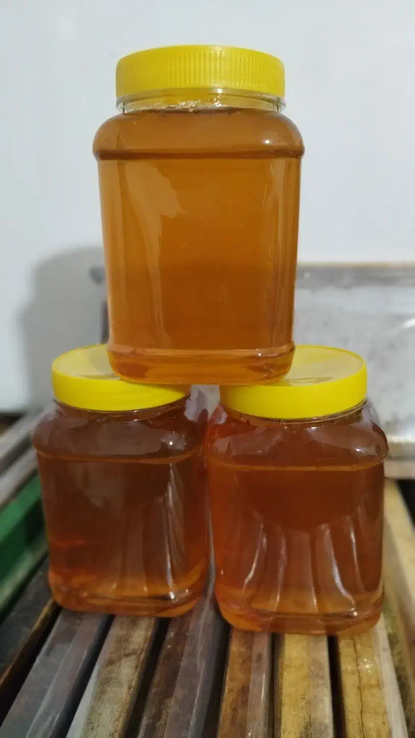 عسل طبیعی ودرمانی|آرایشی، بهداشتی، درمانی|آبش احمد, |دیوار