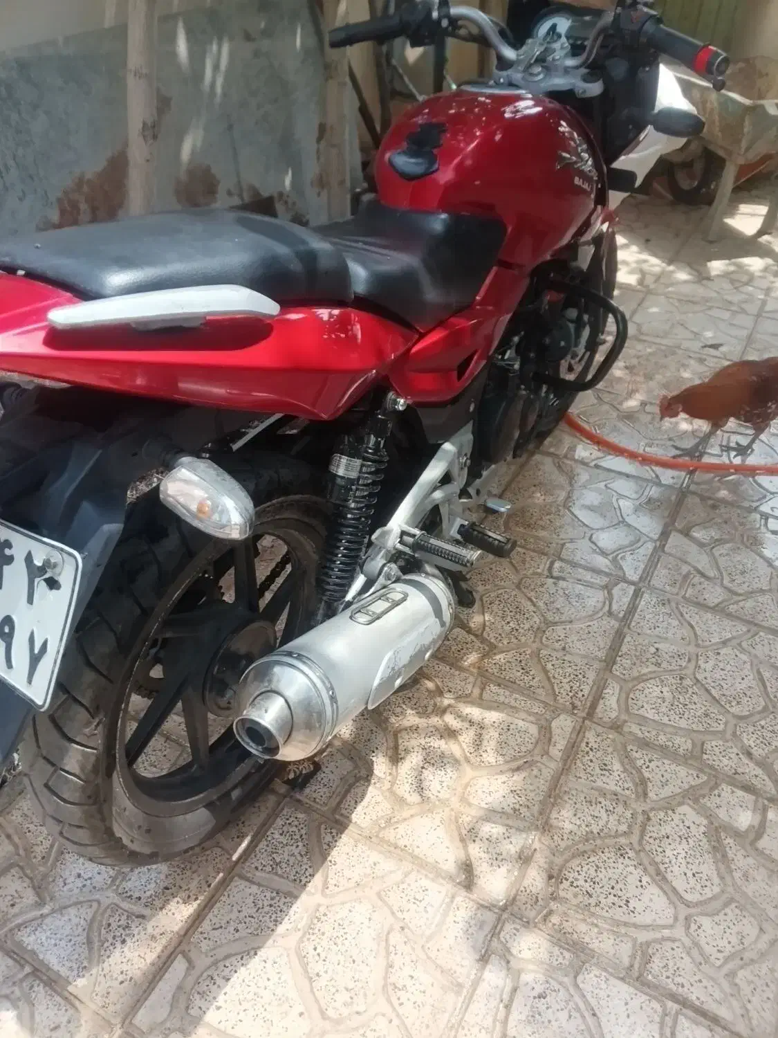 پالس ۲۰۰|موتورسیکلت|آسارا, |دیوار