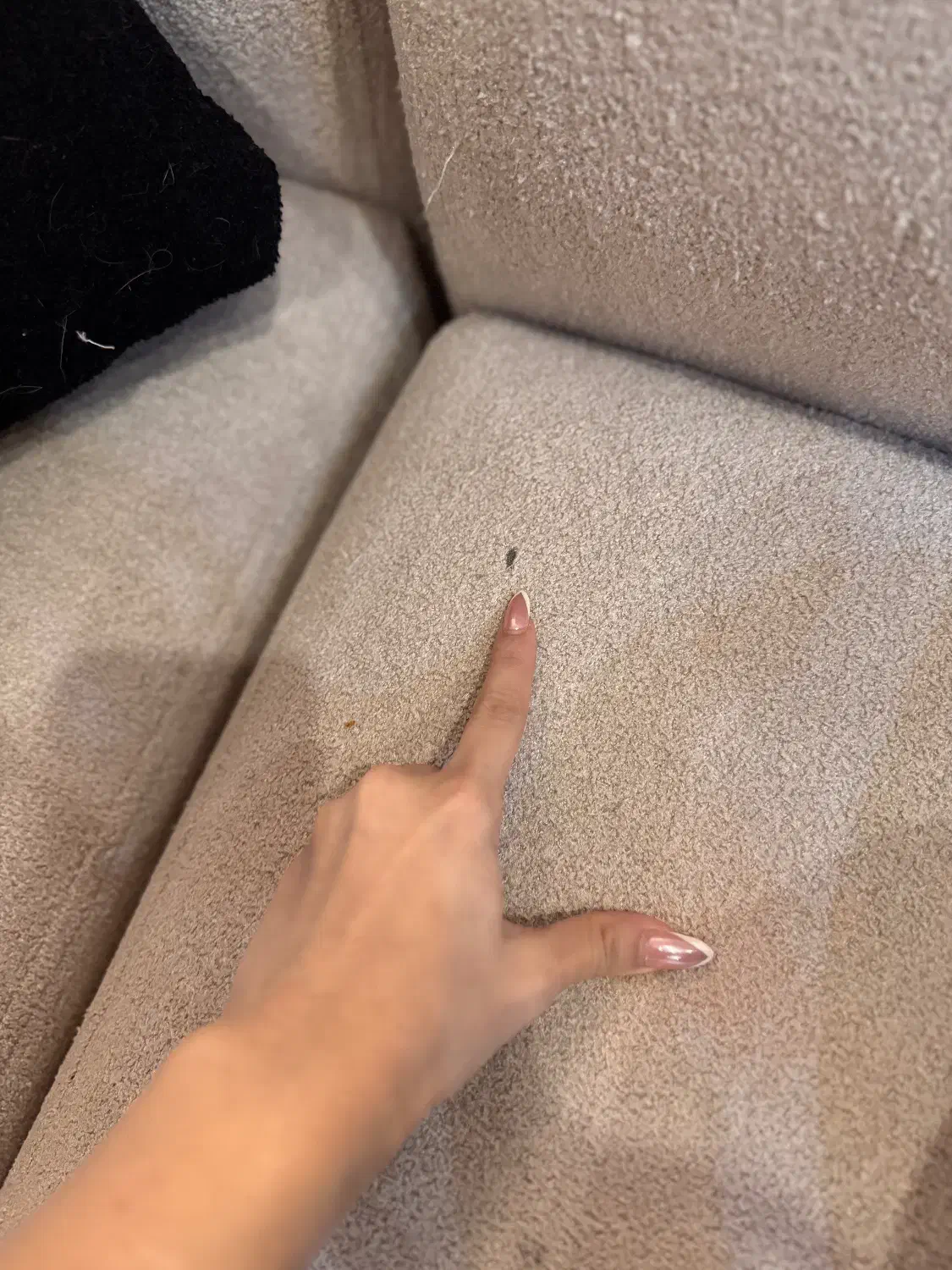 مبل تدی|مبلمان خانگی و میز عسلی|تهران, شهرک پرواز|دیوار