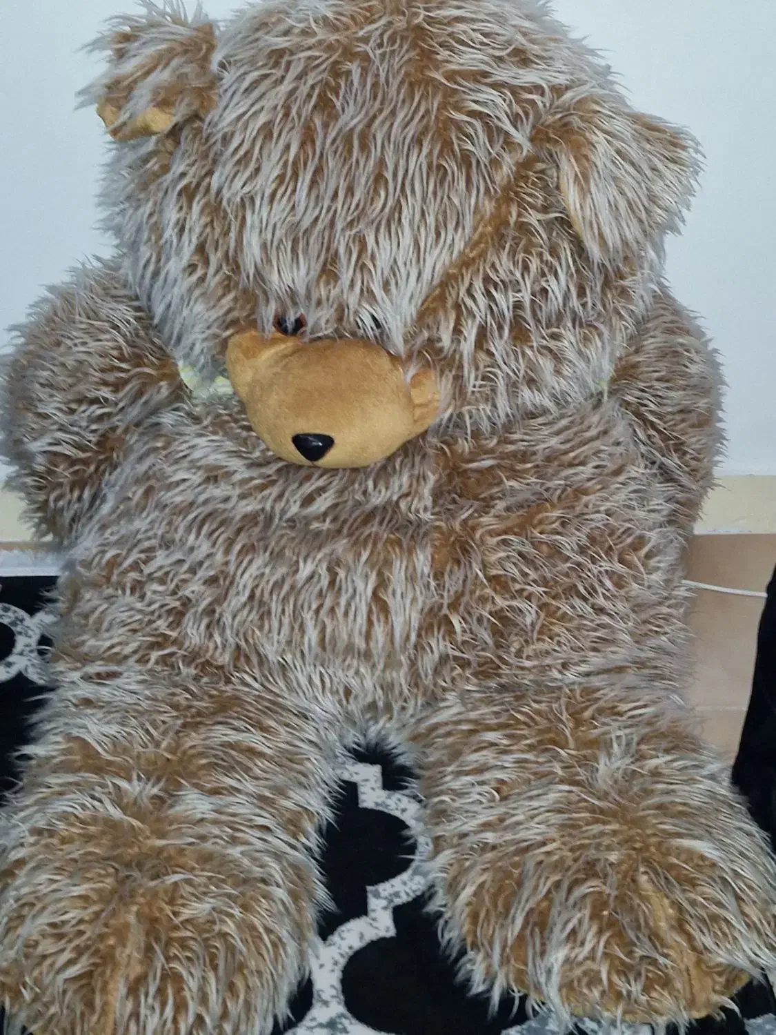 خرس|اسباب‌‌بازی|بندر انزلی, ساحل قو|دیوار