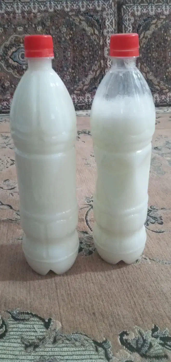 شیر‌الاغ‌دوشیدن درحضور‌مشتری|حیوانات مزرعه|قرچک, باقرآباد|دیوار