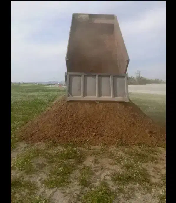 کود حیوانی گوسفند و گاو|خدمات باغبانی و درختکاری|رامهرمز, |دیوار