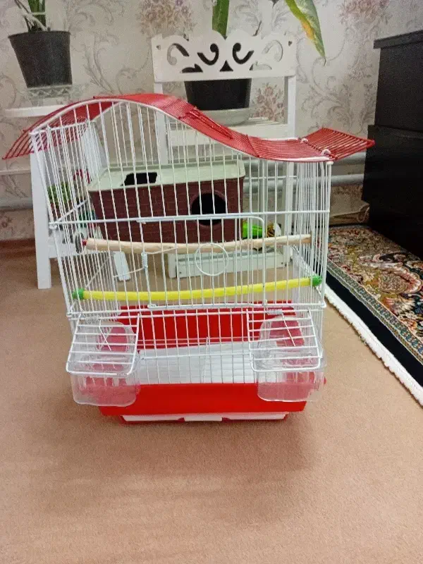 قفس فنج|لوازم جانبی حیوانات|نسیمشهر, |دیوار