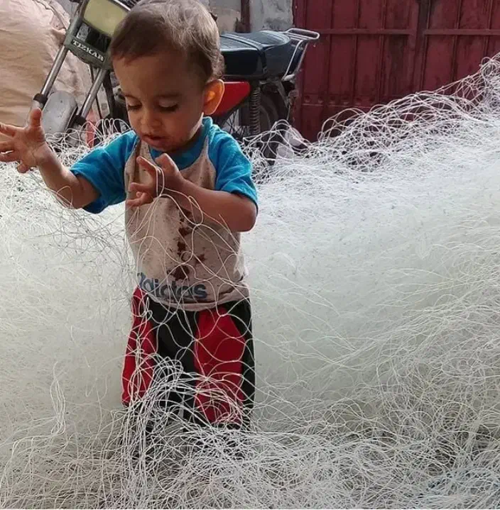 فروش|ماهیگیری|بندر کنگان, |دیوار