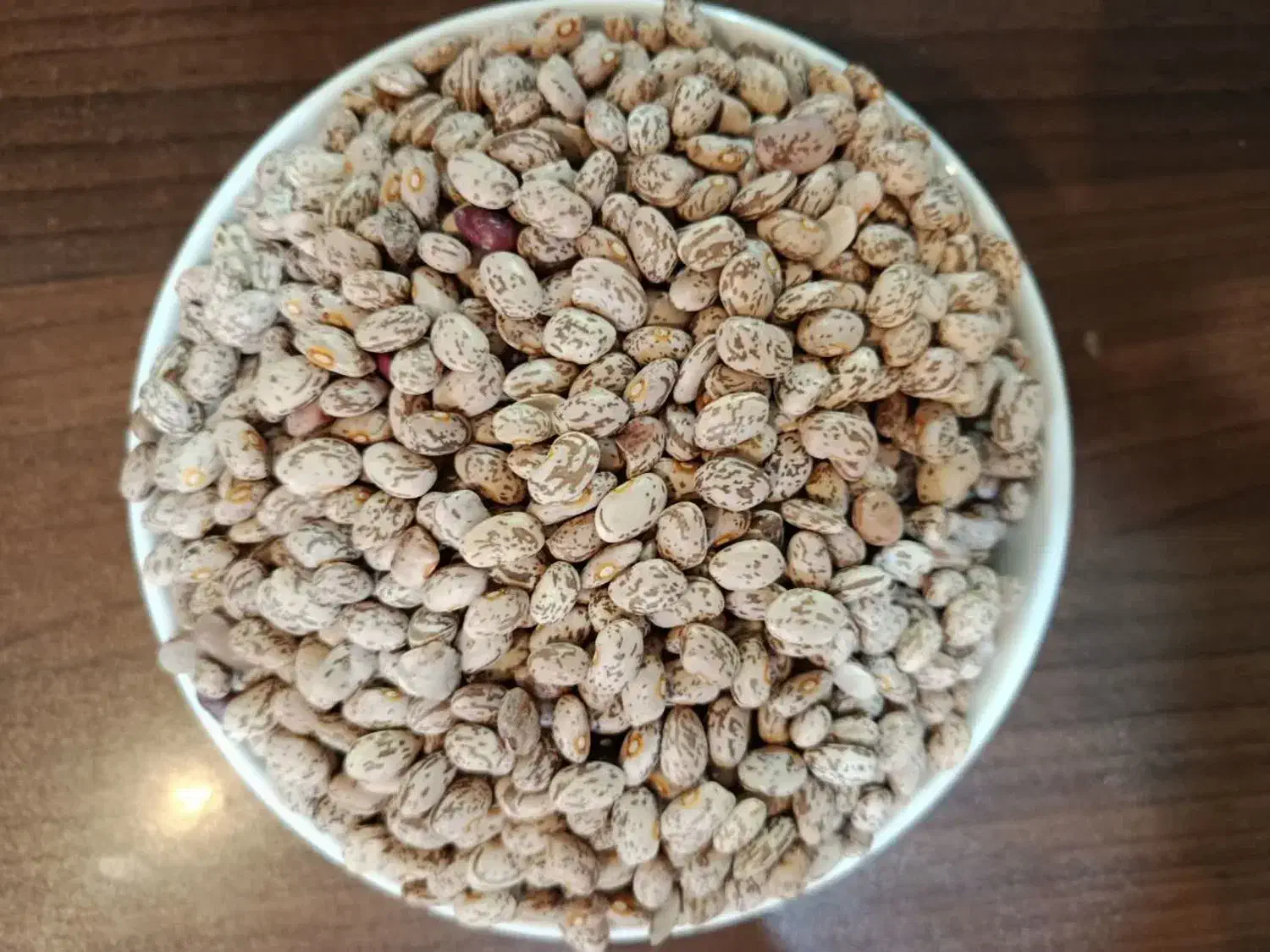 لوبیا چیتی|خوردنی و آشامیدنی|تهران, بوستان ولایت|دیوار